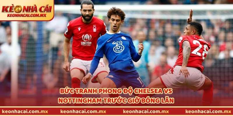 Bức tranh phong độ Chelsea vs Nottingham trước giờ bóng lăn