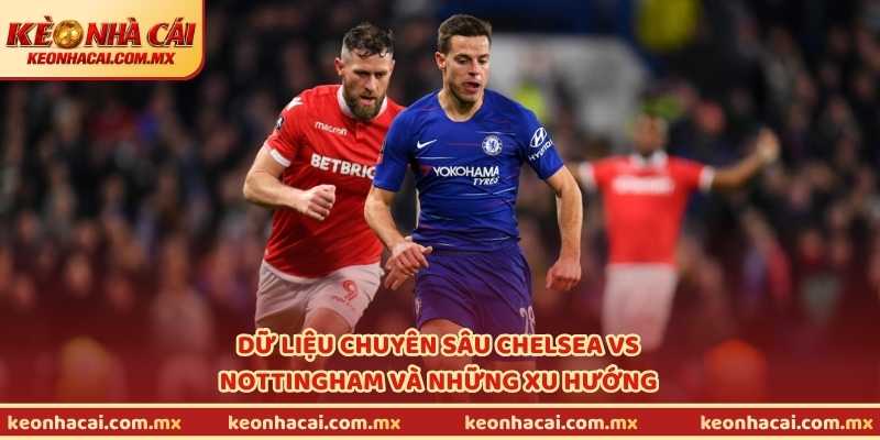 Dữ liệu chuyên sâu Chelsea vs Nottingham và những xu hướng đáng chú ý